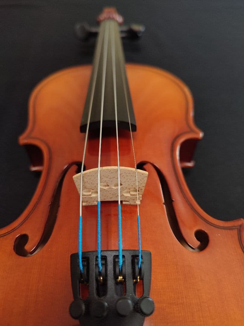 スズキバイオリン 1/10 No.230 弦新品・杉藤弓・ケース・松脂付き