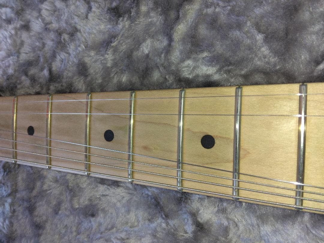 EVH Striped Series 白黒 ＋ 新品Fenderケース