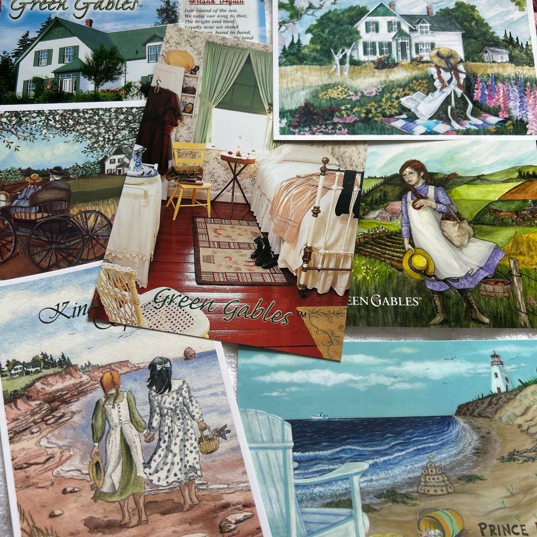 リリー様 赤毛のアンセット 日本アニメーション40周年記念商品 赤毛の