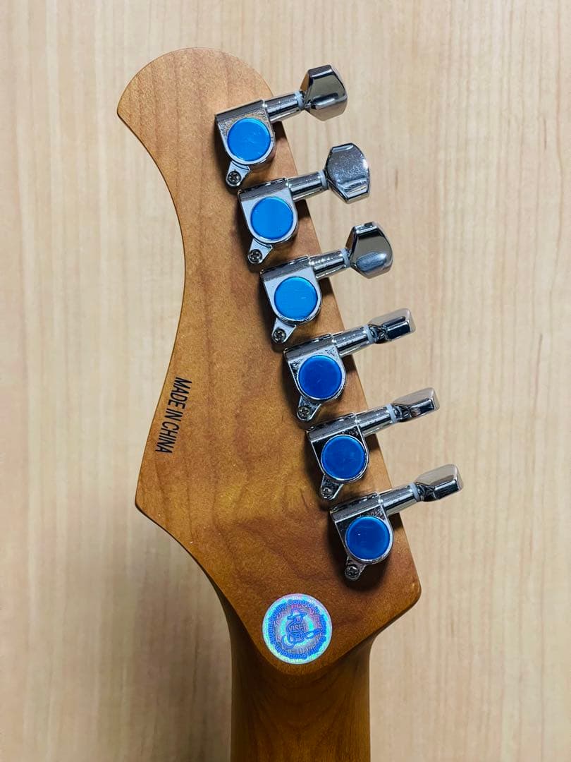 Bacchus バッカス BTE-1DX RSM/M IBM 新品同様