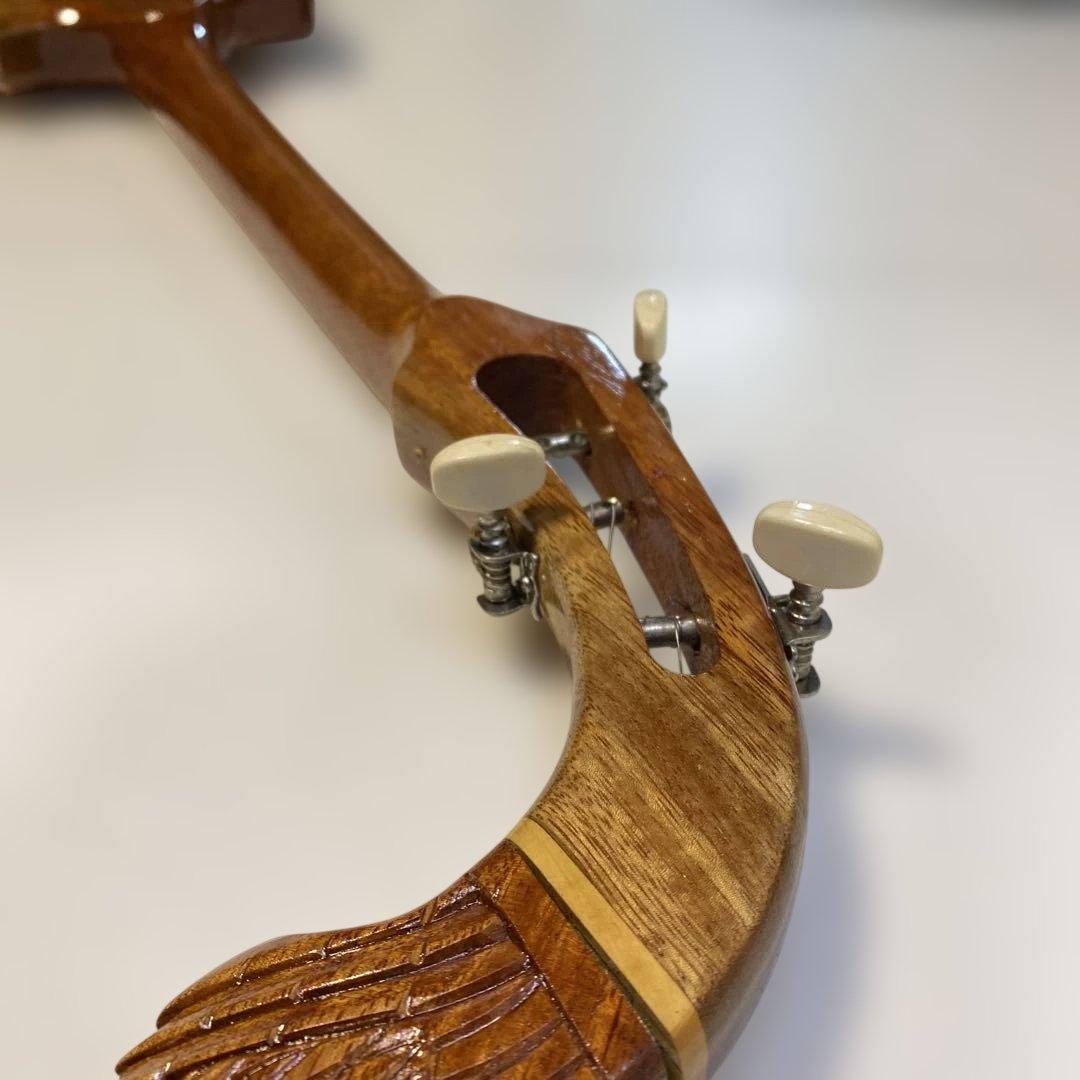 タイ 伝統楽器 エレクトリック ピン 三弦 バンコク 民俗楽器 Thai 未