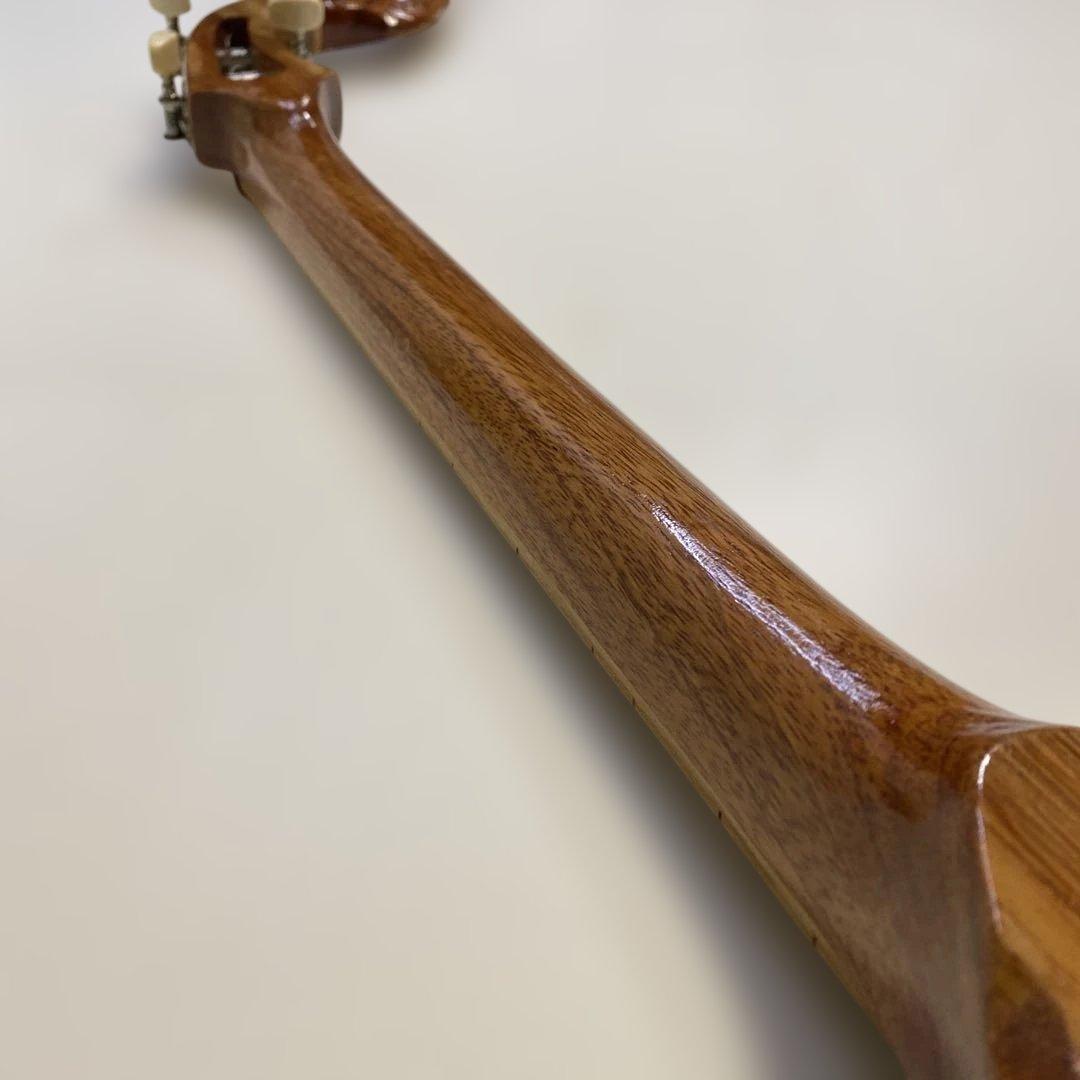 タイ 伝統楽器 エレクトリック ピン 三弦 バンコク 民俗楽器 Thai 未