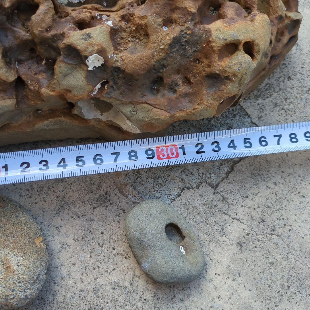 送料無料 アクアリウム 水槽用石セット メダカ熱帯魚