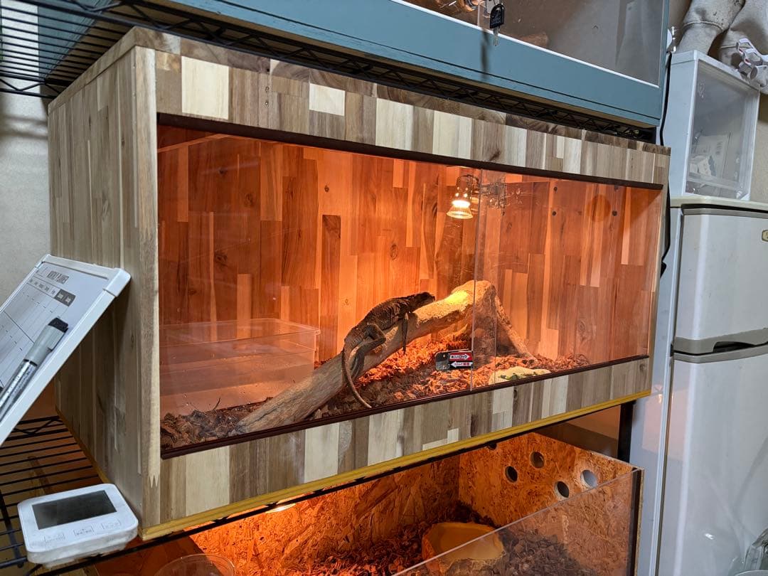 爬虫類ケージ アカシア材 90×45×45 飼育 ケージ ペット 小動物 ケース