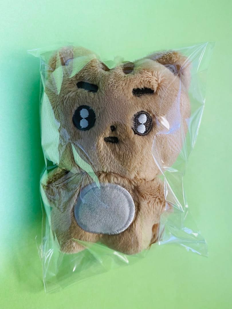 【TXT テヒョン】マスターニム ぬいぐるみ 10cm ポバトゥ 韓国