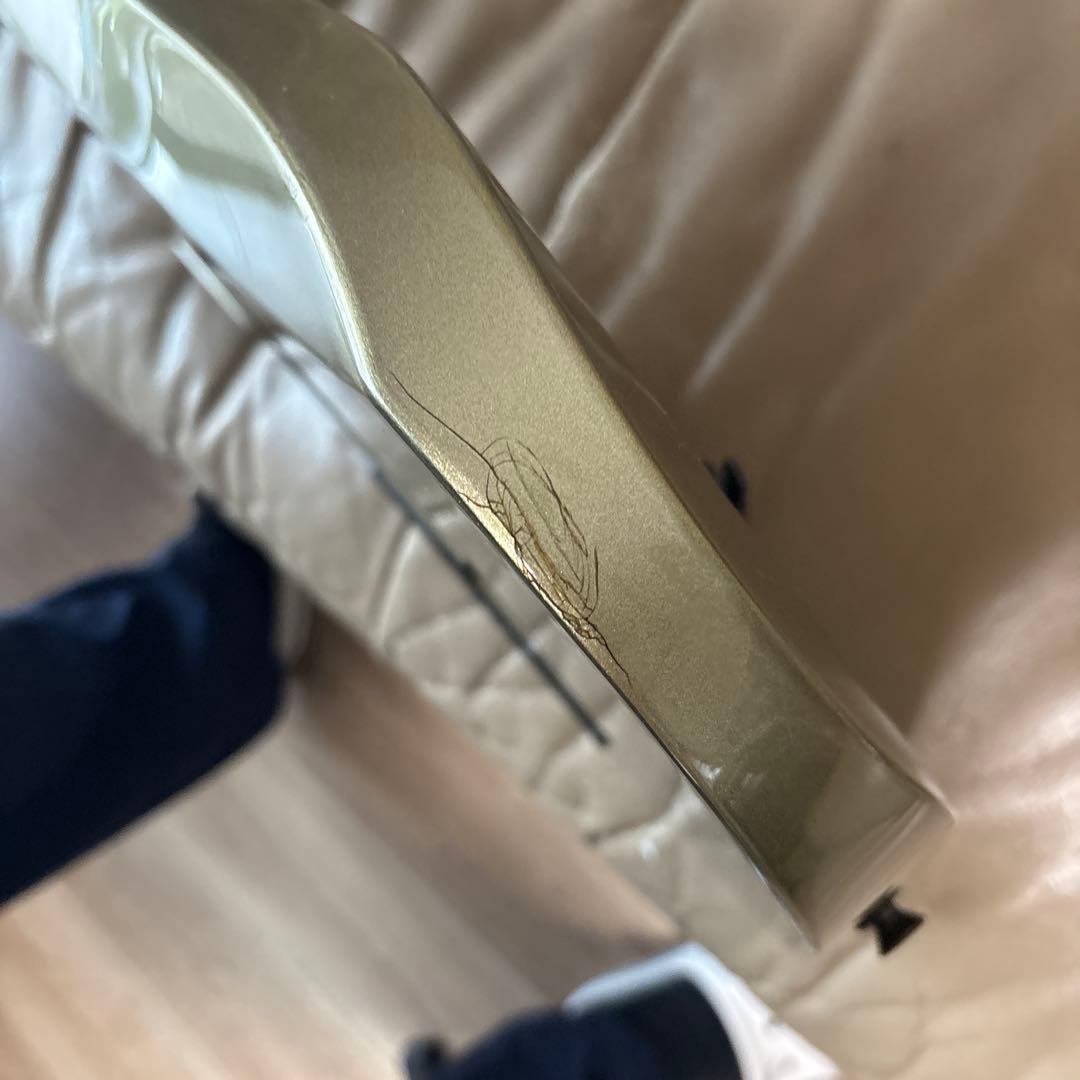 アイバニーズ　フジゲン製