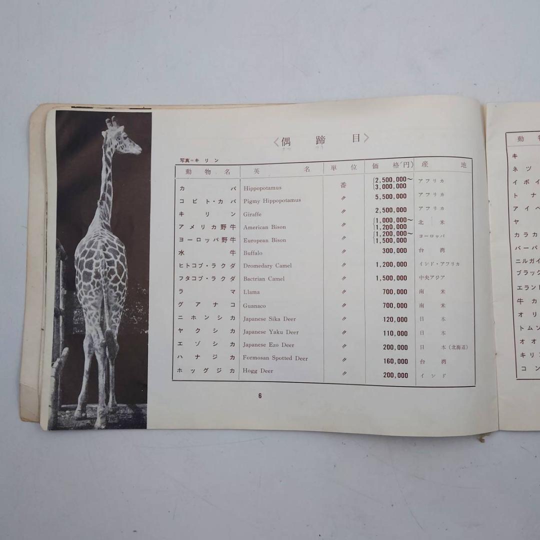 京濱鳥獣貿易 動物価格表 & 札幌 円山動物園 どうぶつぐらふ