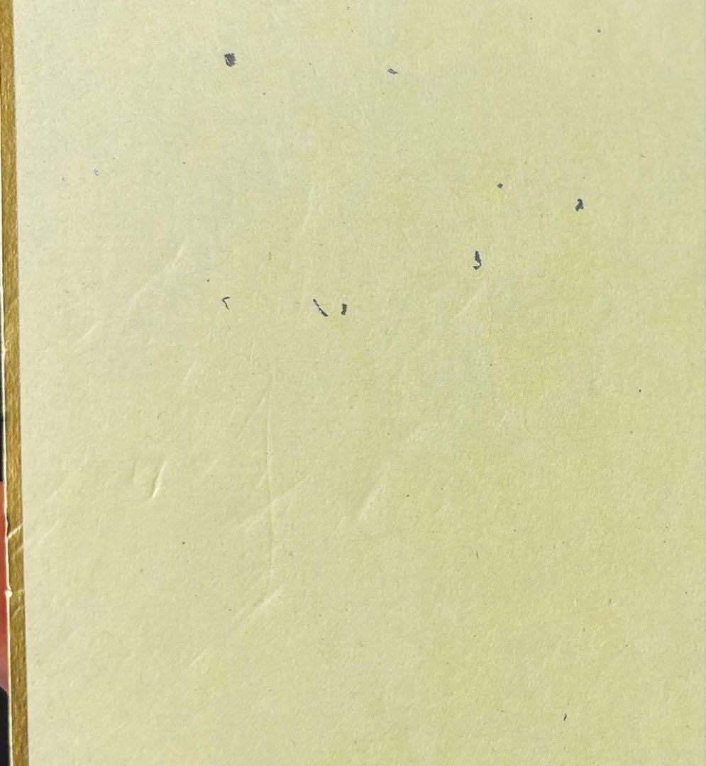 D.Gray-man ジャンプフェスタ　神田ユウ　32点セット