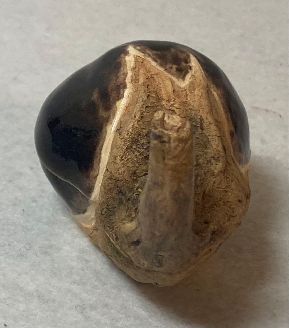 B394h「茄子 香合」佐々木二六作　共布共箱　松柏庵　天神蟹　愛媛　茶道具