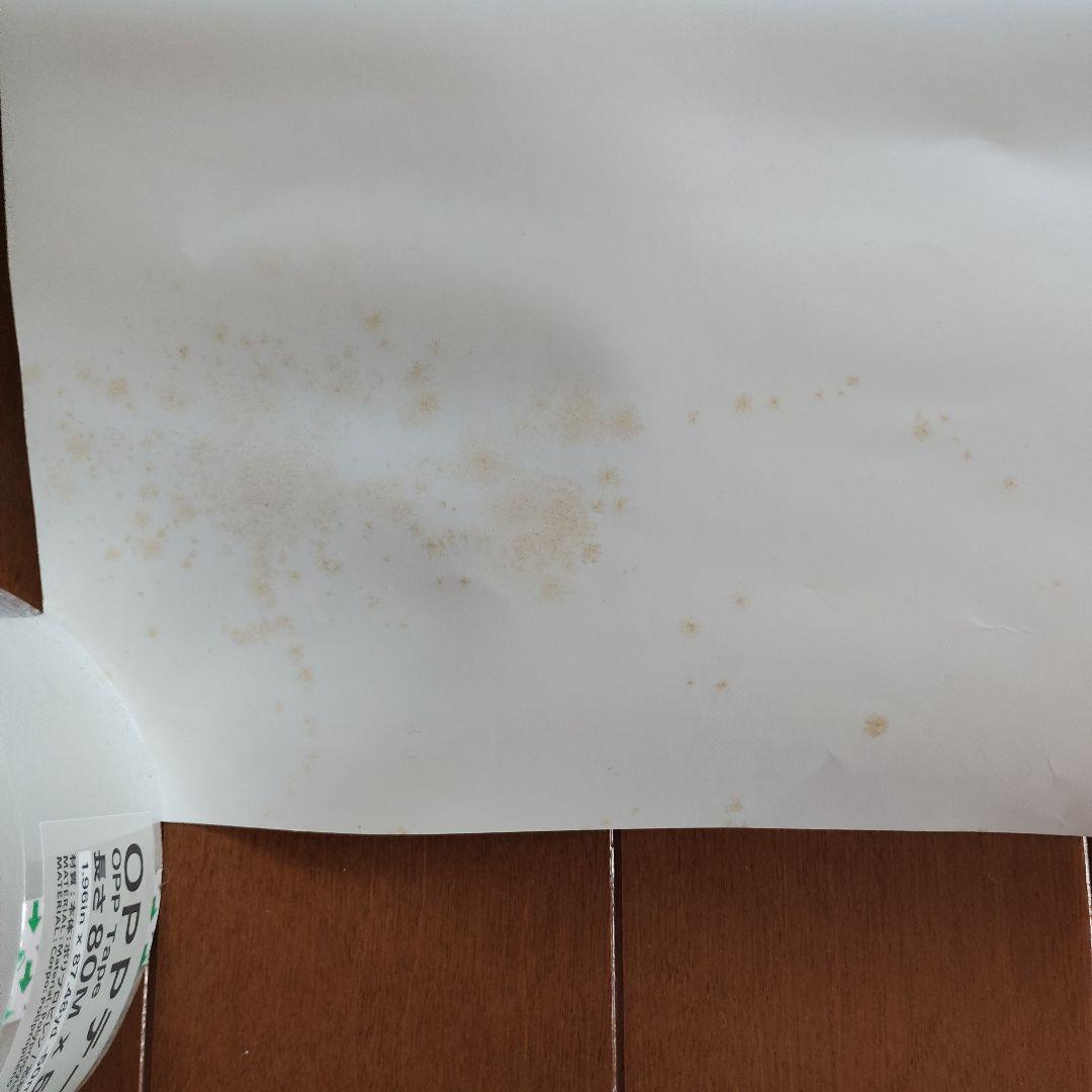 エヴァンゲリオン 鋼鉄のガールフレンド エヴァと愉快な仲間たち