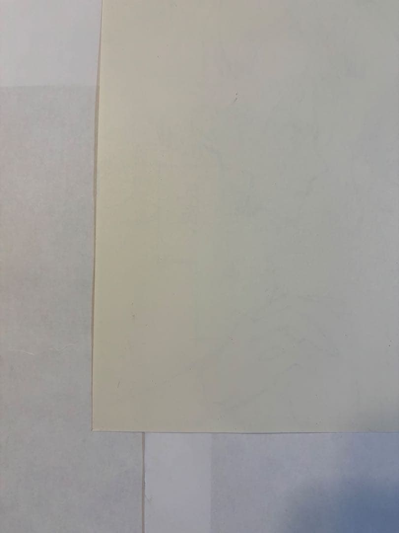 ヴァンパイア騎士原画展 限定 樋野まつり先生 直筆「原稿下絵」1枚 暁