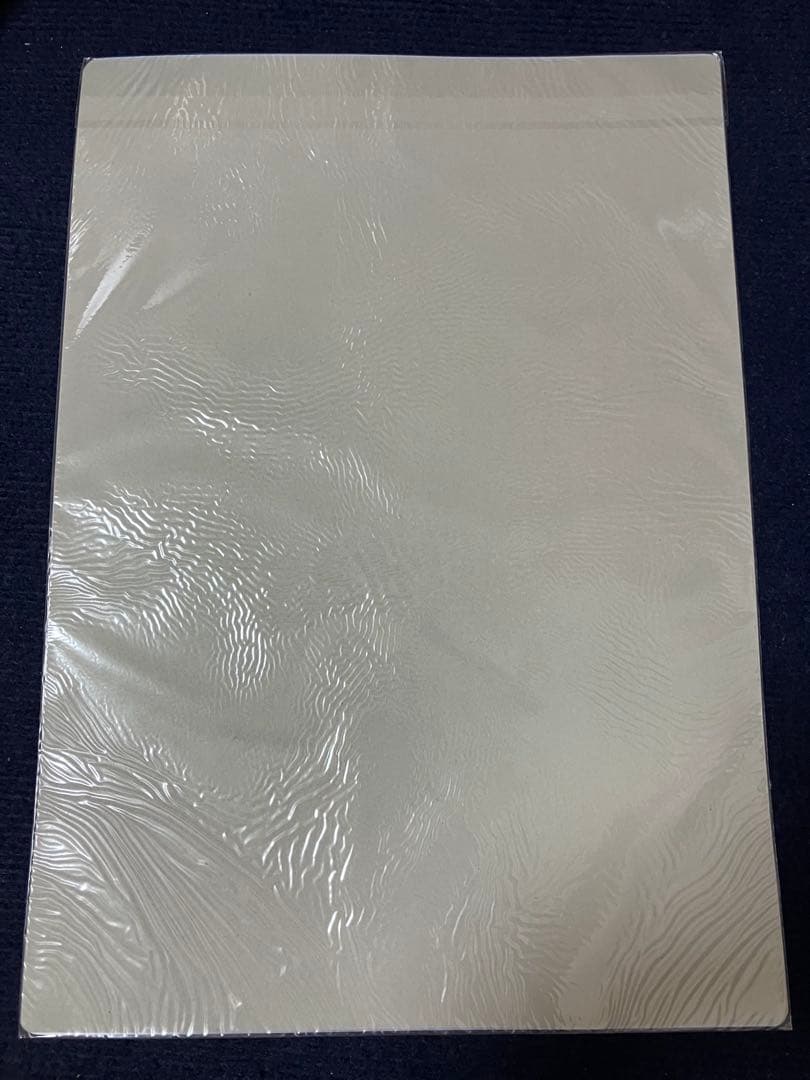 非売品】タユタマ 萌木原ふみたけ 描き下ろし A3 サイズ ビニール