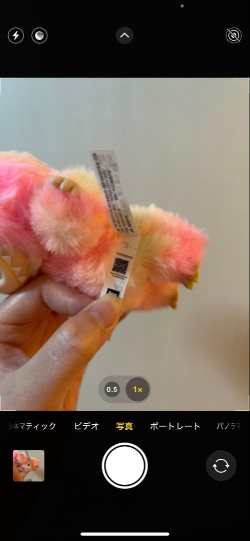 【正規品】ラブブ big into energyシークレット