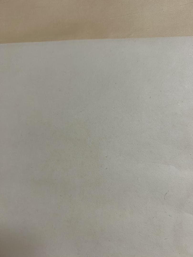 田中 野夫専用 水墨肉筆 錦鶏花葉太湖石図 南田沈銓 掛軸 中国美術(Y