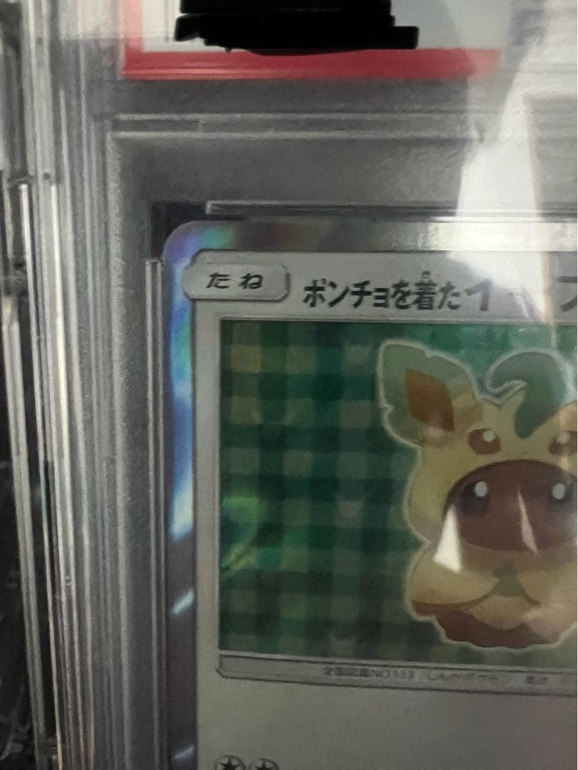 ポンチョを着たイーブイプロモPSA10