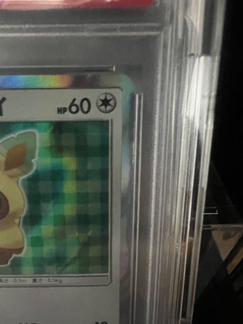 ポンチョを着たイーブイプロモPSA10