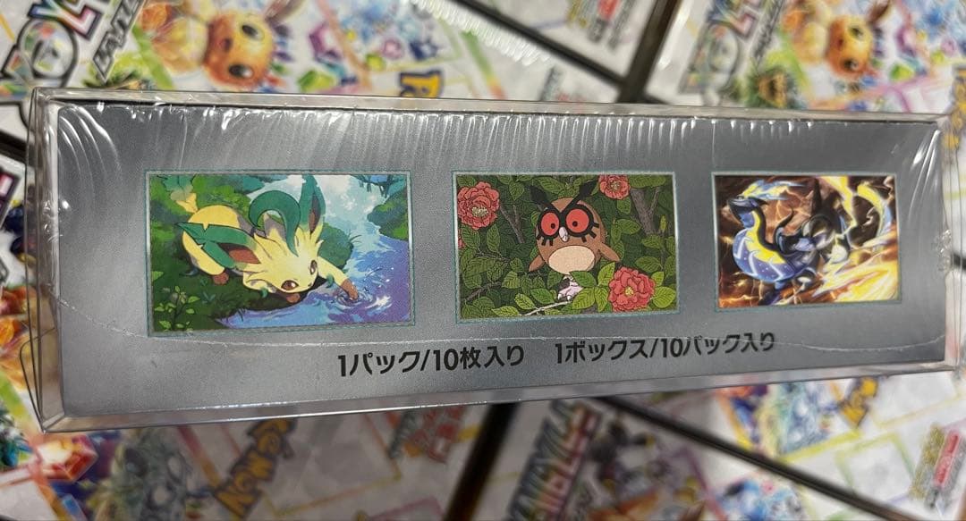 テラスタルフェスex 10BOX