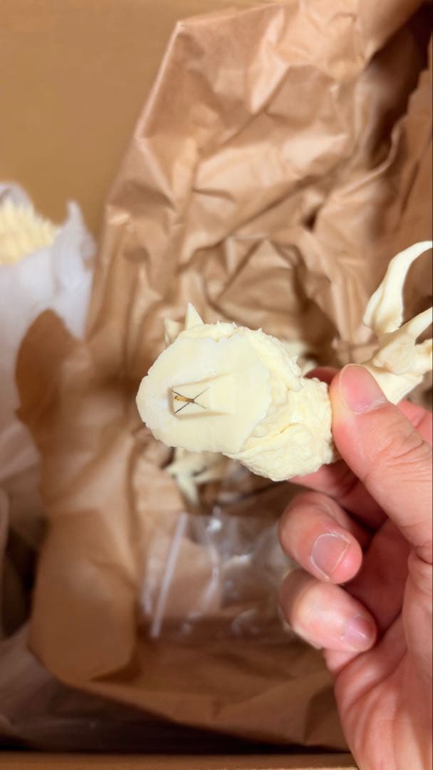 デストロイア ガレージキット　ゴジラ