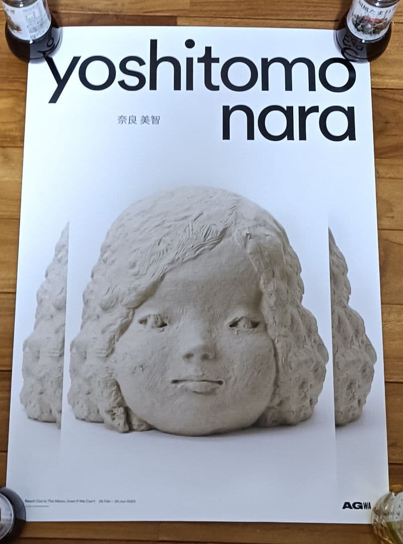 頭骨標本 ジャワマングース ペア 頭骨標本 ジャワマングース ペア 即納