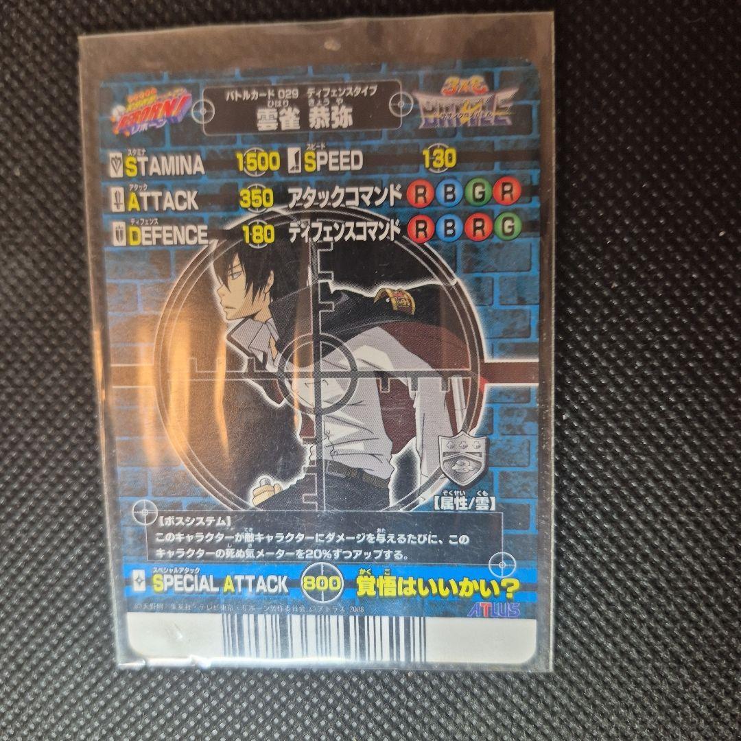 家庭教師ヒットマンリボーン ミラクルボンゴレア雲雀恭弥