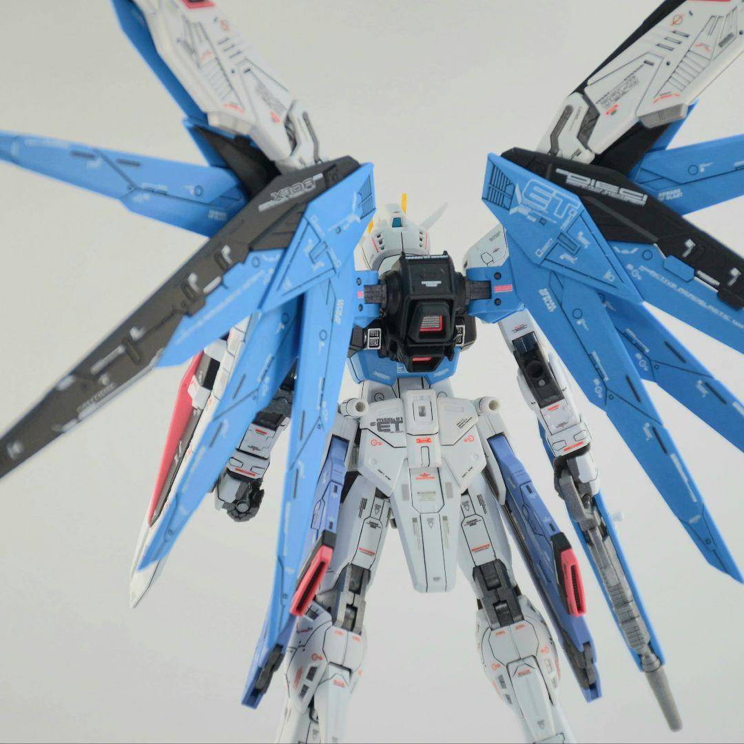 RG フリーダムガンダム 塗装 完成品 バンダイ ガンプラ 1/144