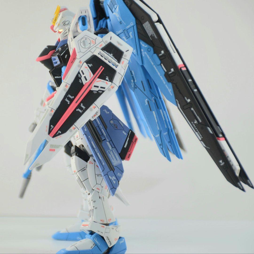RG フリーダムガンダム 塗装 完成品 バンダイ ガンプラ 1/144