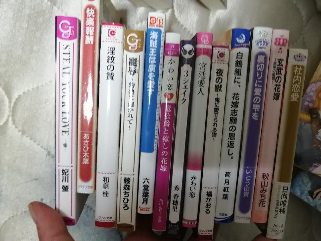 BL小説 161冊 まとめ売り