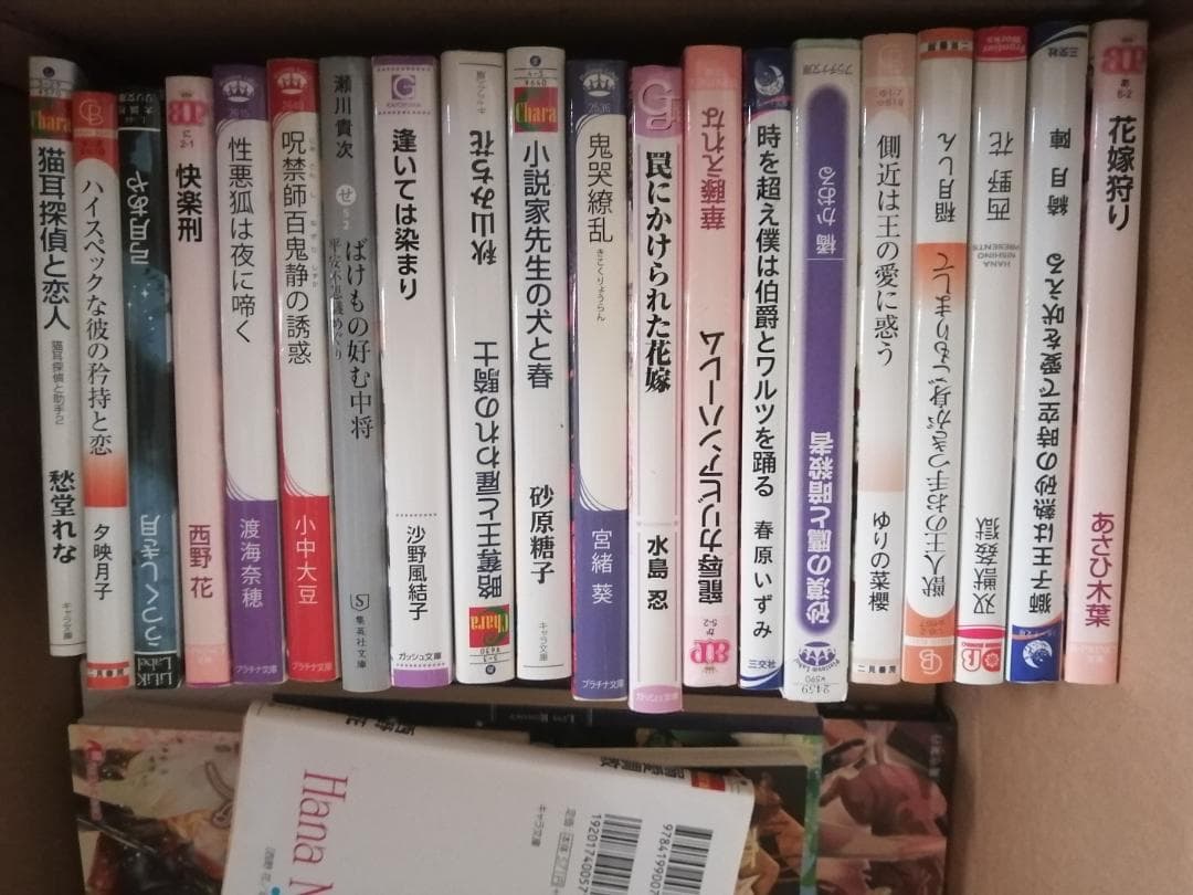 BL小説 161冊 まとめ売り