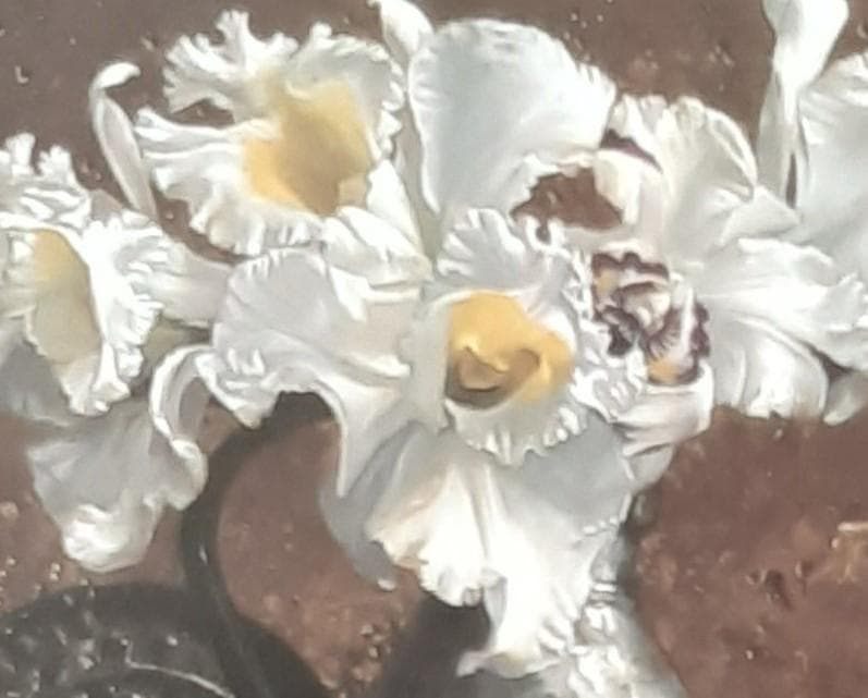 青木敏郎、「花・果実・魚」、希少画集の額装画、四季、風景、人気作品