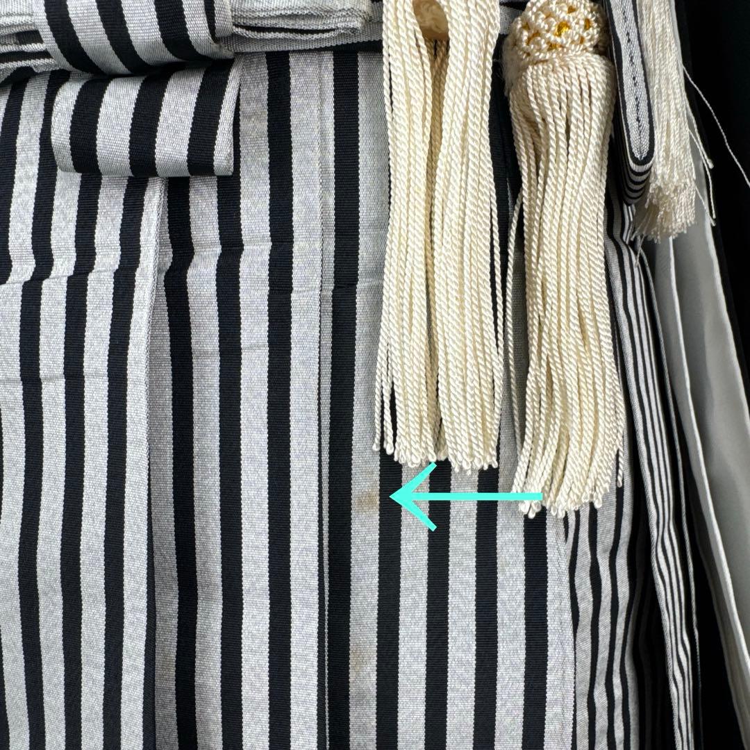 2905★少々シミに付き特価★五歳セット