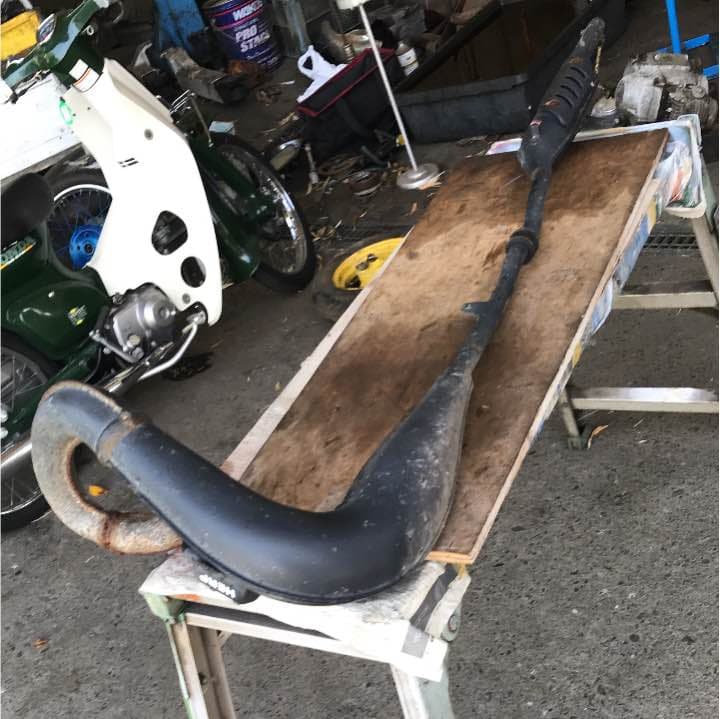 本物 プレイマット プロフェッサー シンオウ 第4世代