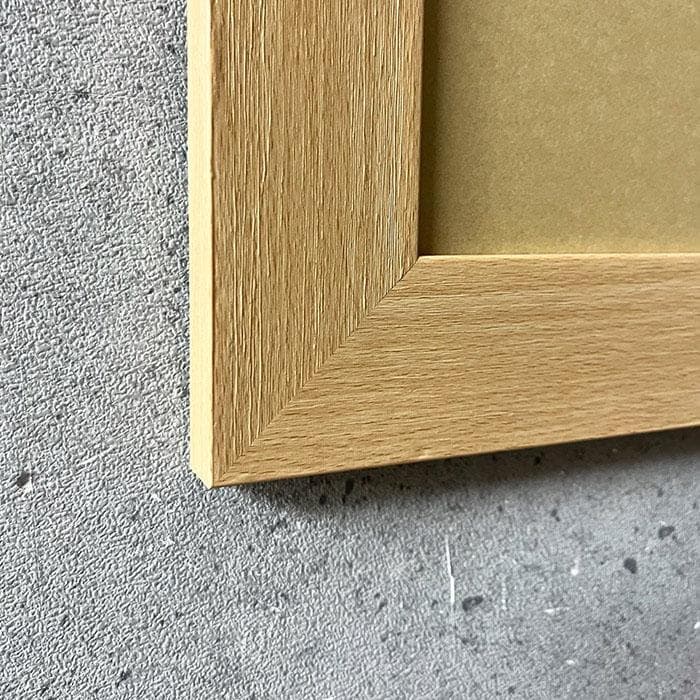 特別額装品/Bjork（ビョーク）/Medulla 2004年