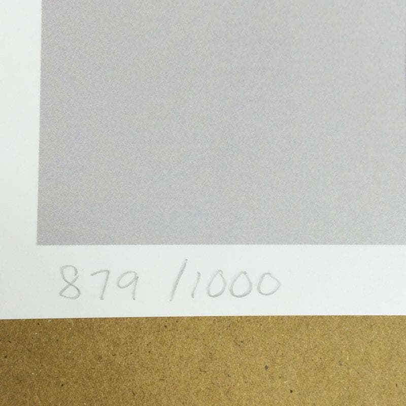 特別額装品/Bjork（ビョーク）/Medulla 2004年