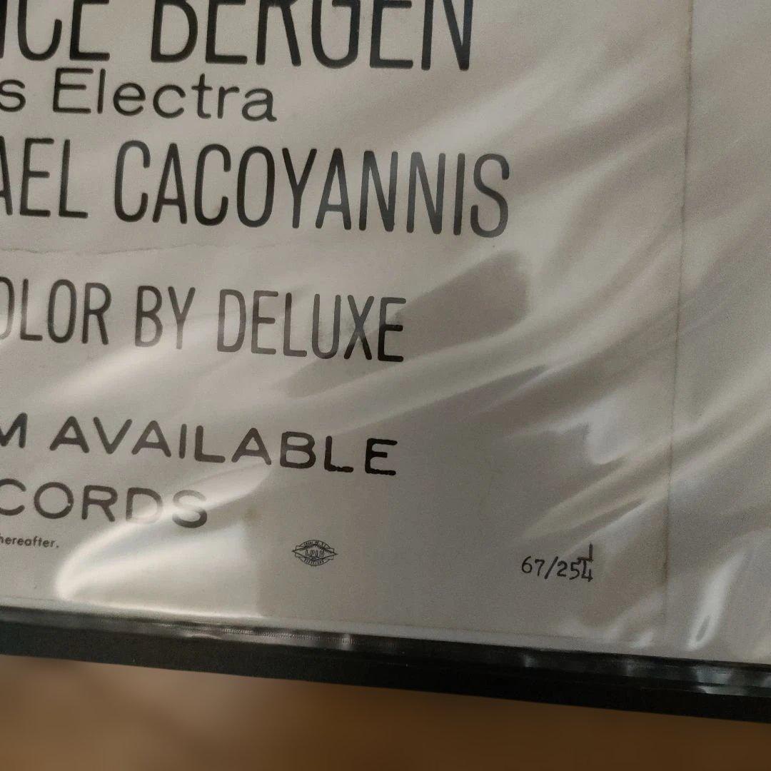 映画「魚が出てきた日」US版インサートサイズポスター