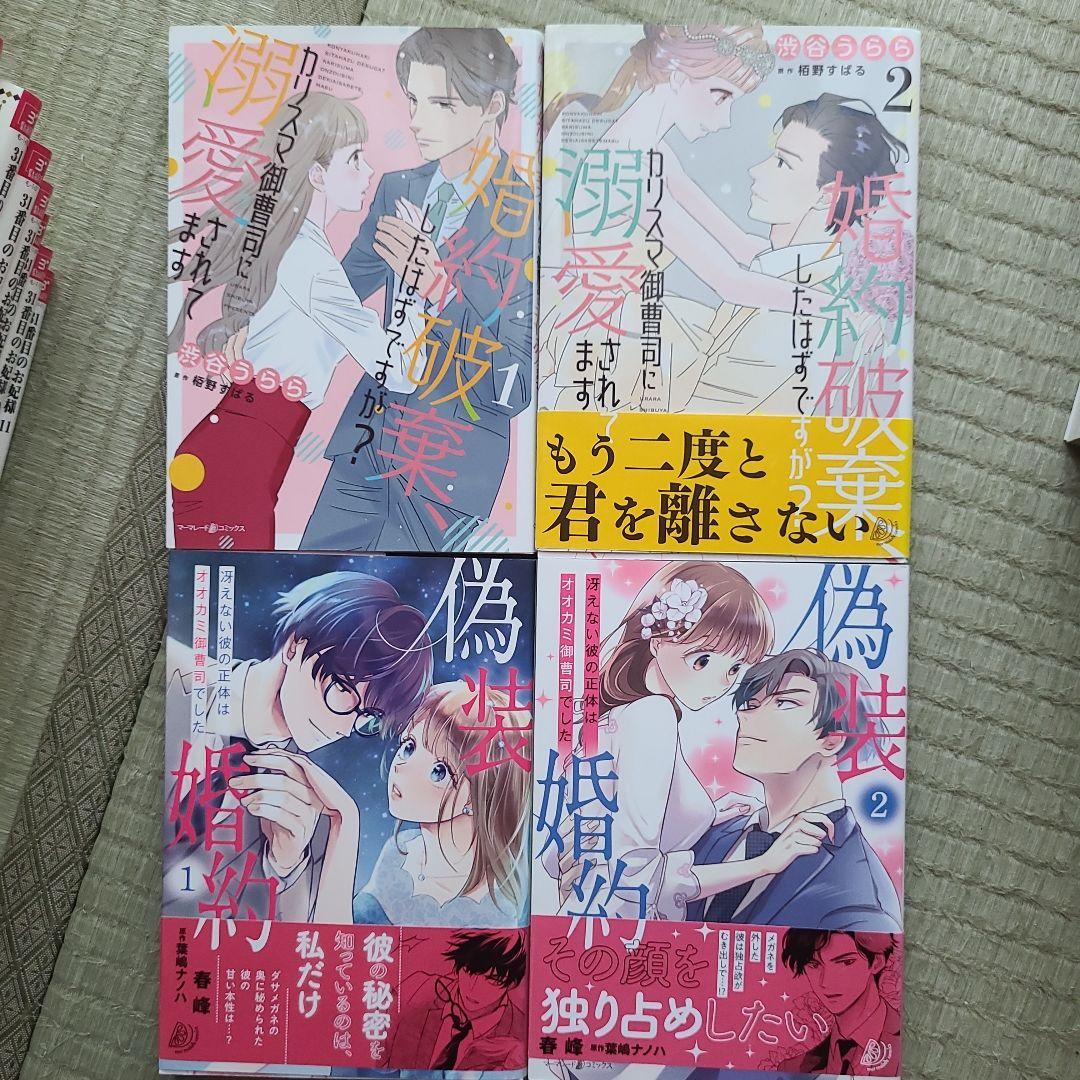 必ず君を堕としてみせる 絶倫モテ上司は臆病女子を逃がさない