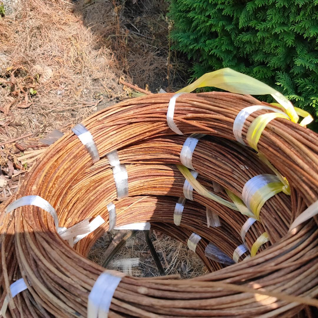 hkeplk　青森県岩木山採取　あけび蔓　70cm～150cm　5kg