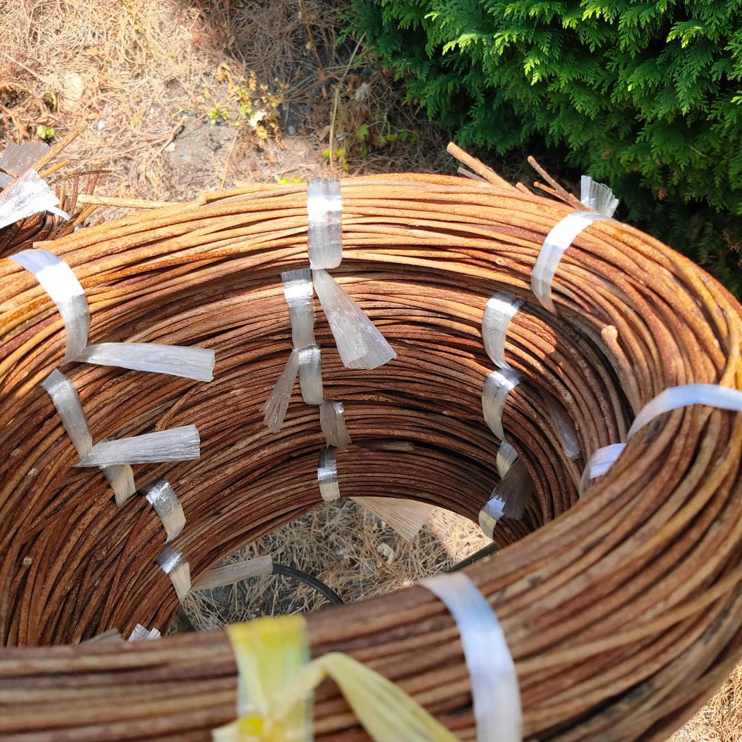 hkeplk　青森県岩木山採取　あけび蔓　70cm～150cm　5kg