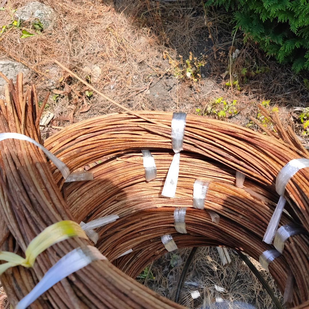 hkeplk　青森県岩木山採取　あけび蔓　70cm～150cm　5kg