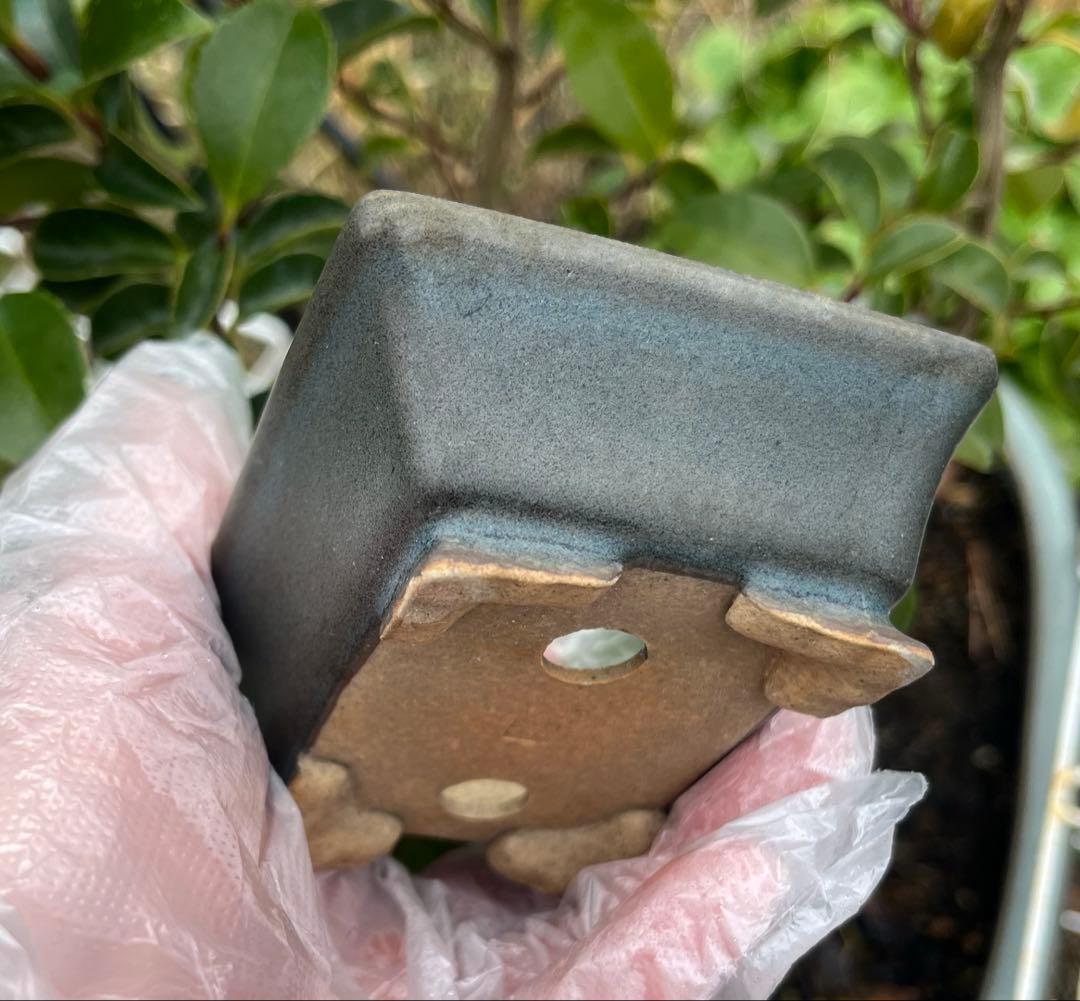 小品盆栽鉢 盆栽鉢 佑泉