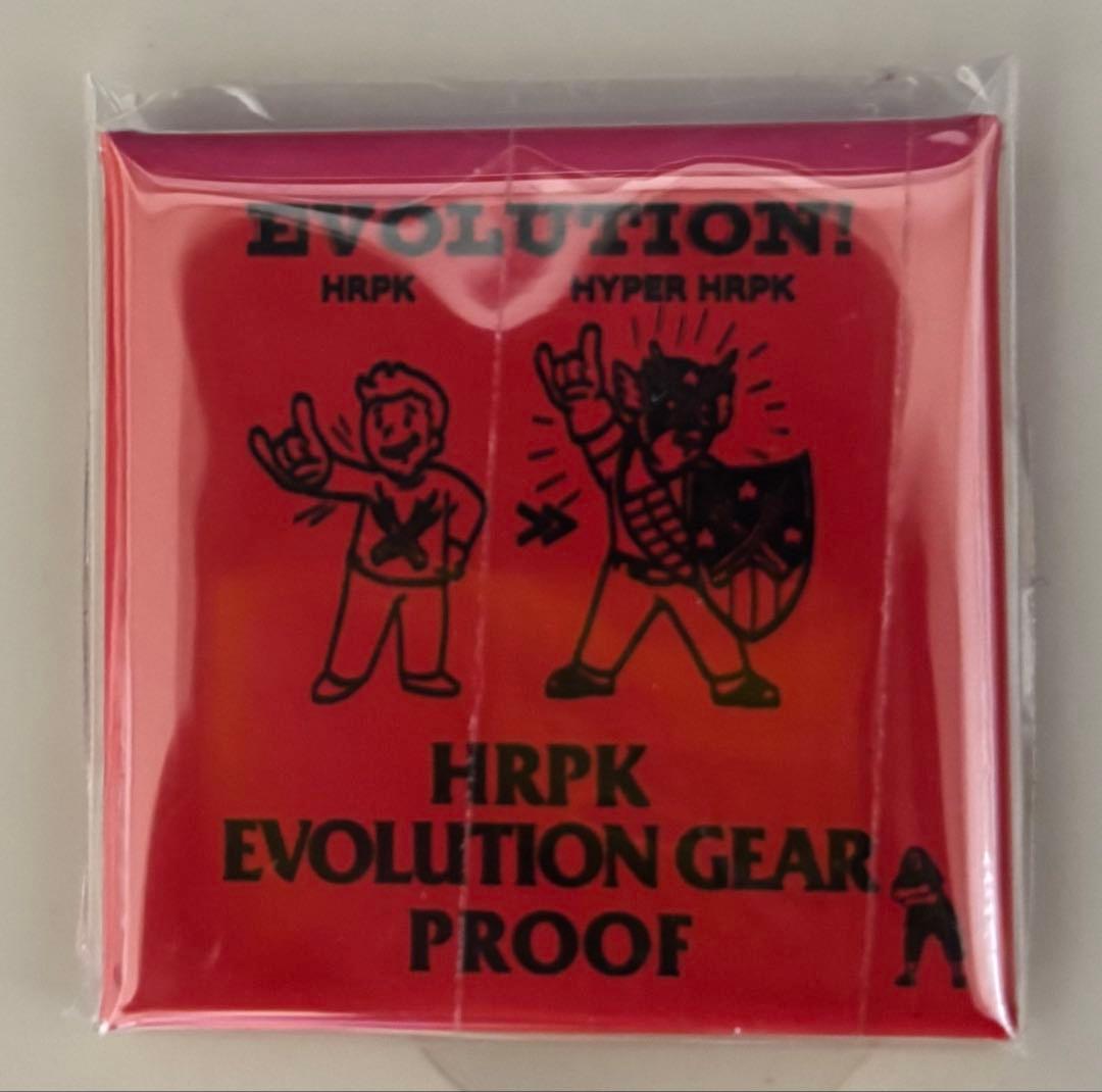 マキシマム ザ ホルモン プルーフ10枚セット