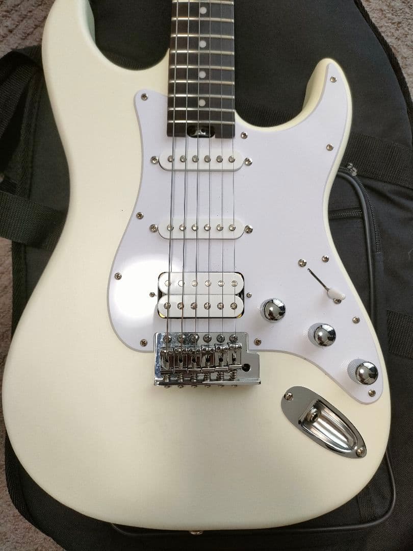 Bacchus SGS-ASH RSM フレット90%以上 グローバルシリーズ - メルカリ