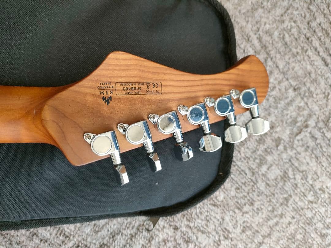 Bacchus SGS-ASH RSM フレット90%以上 グローバルシリーズ - メルカリ