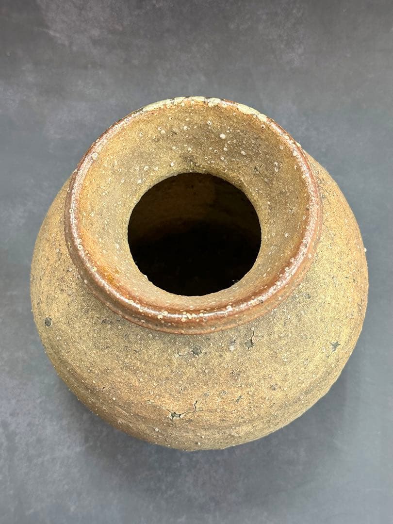 ⭐️蔵出し❣️貴重⭐️】信楽焼 蹲(うずくまる) 壺•花入 古格抜群 古