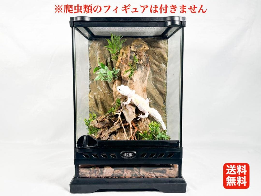 爬虫類ケージ(レイアウト済み品)(レオパ ニシアフ)