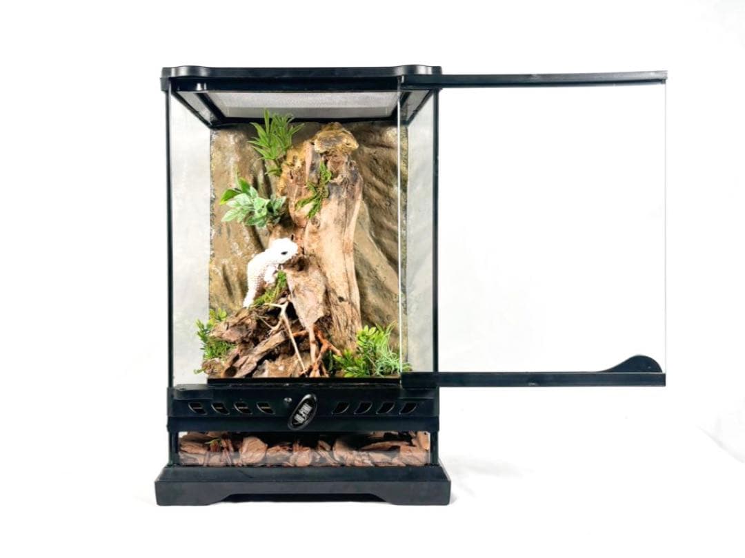 爬虫類ケージ(レイアウト済み品)(レオパ ニシアフ)