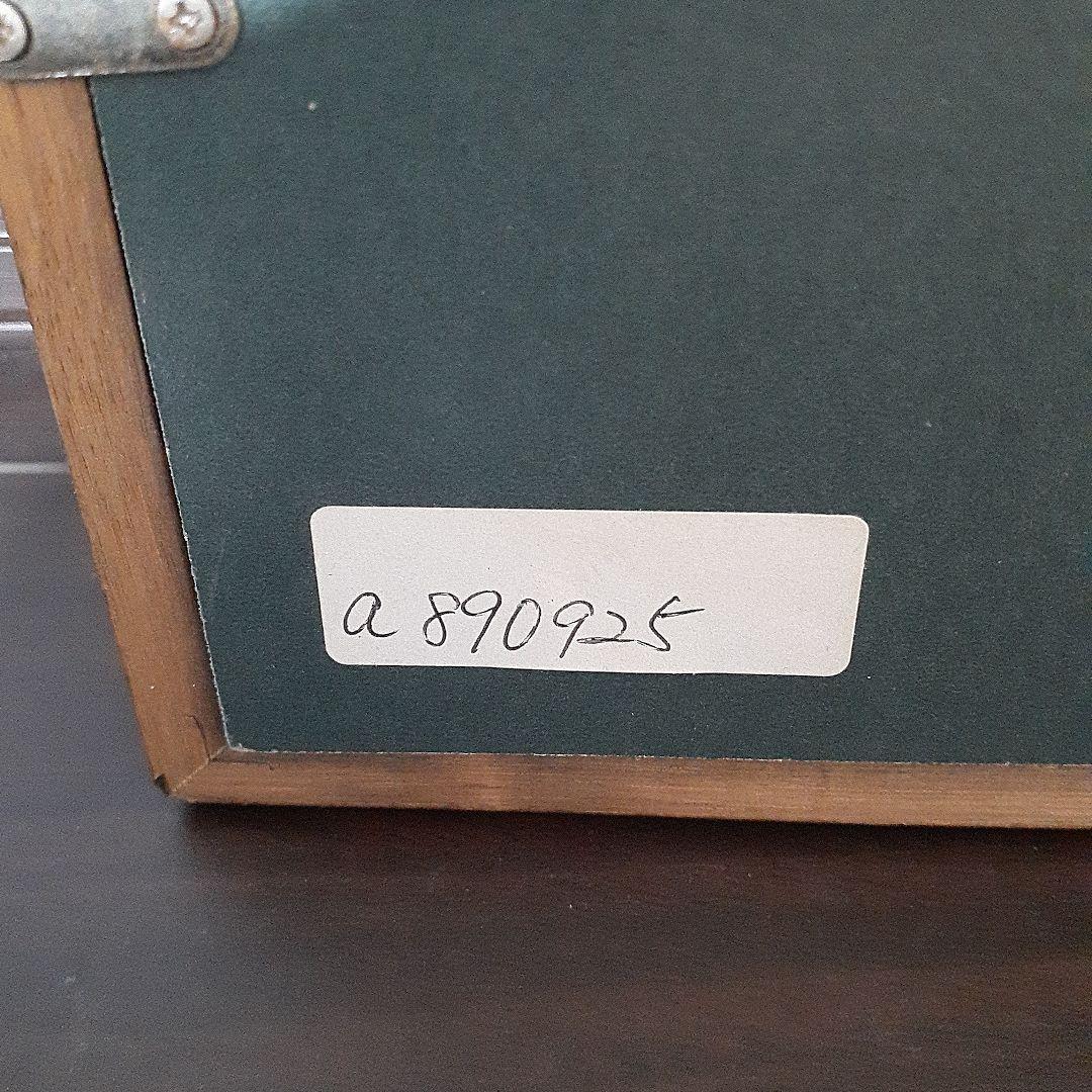 中川一政　チューリップ