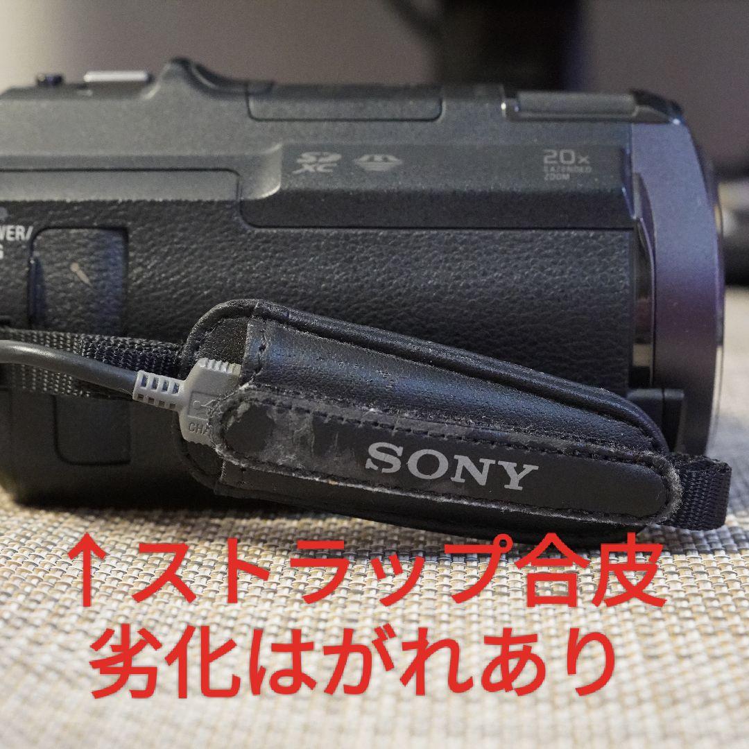 SONY HDR-PJ630 ハンディカム 本体 電池2個