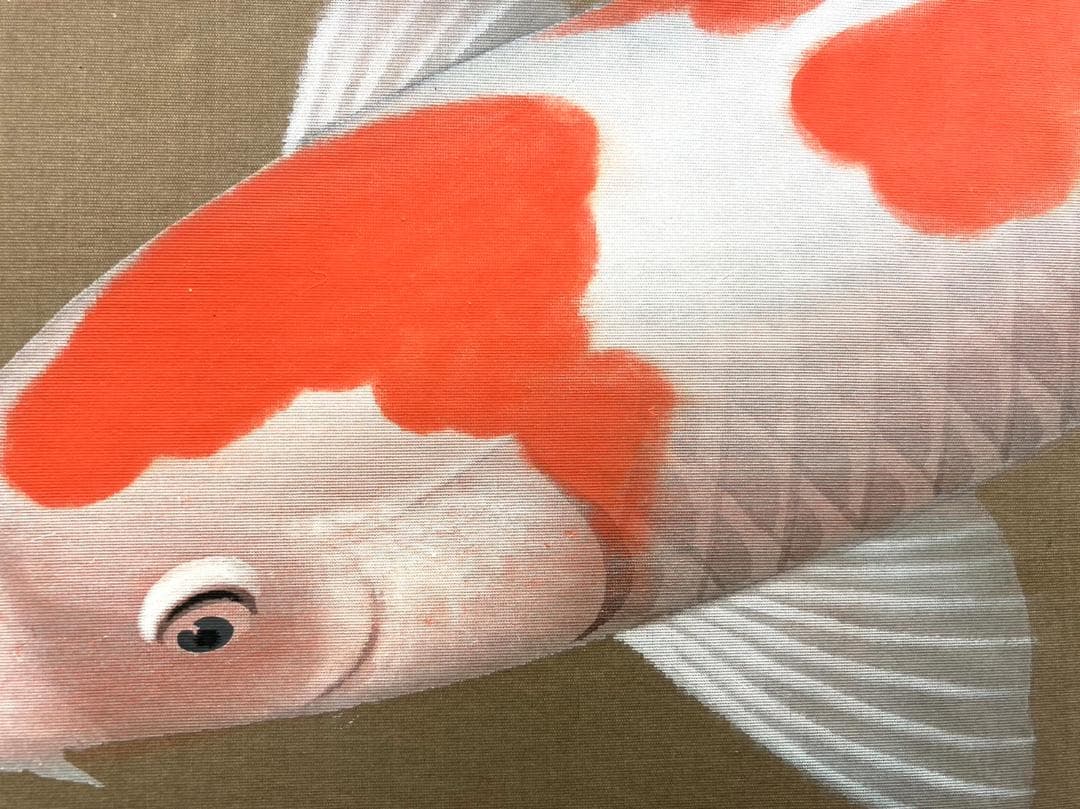 吉井英二「にしき鯉」掛軸 絹本 太巻き 共箱 二重箱 - メルカリ