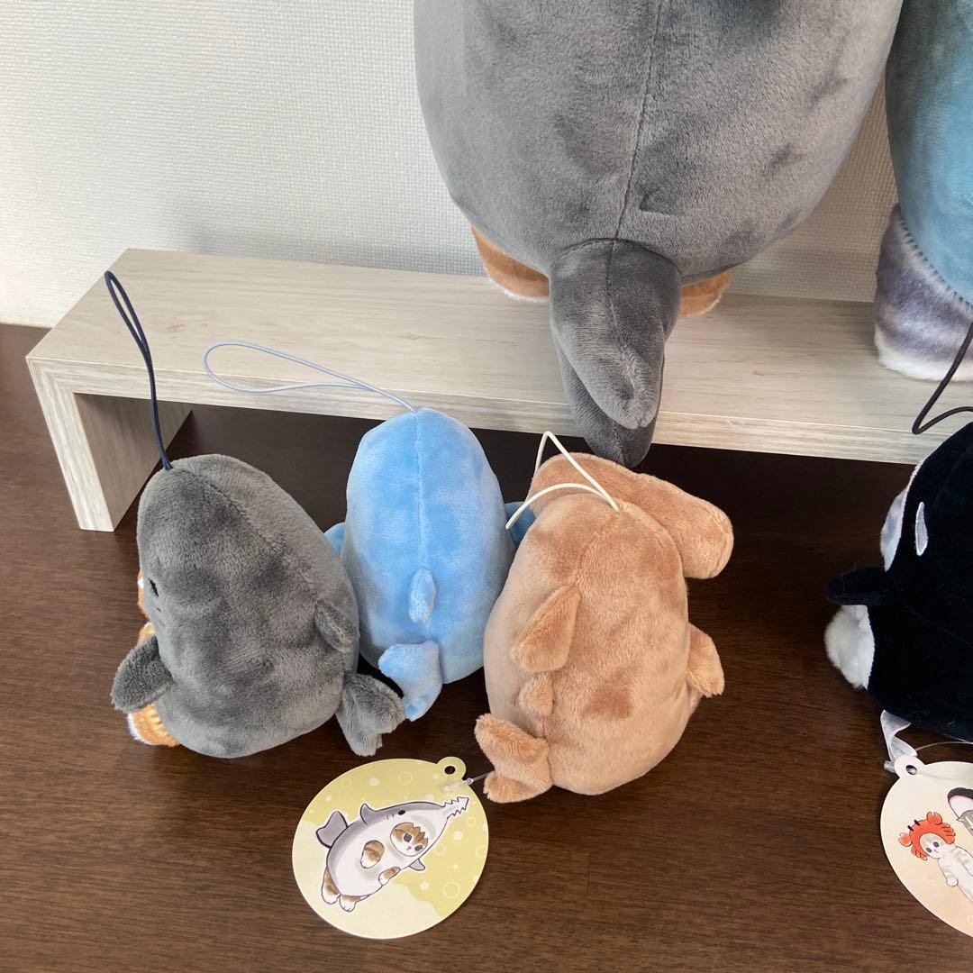 Jhong26「プロフ見てください」 モフサンド まとめ売り18体