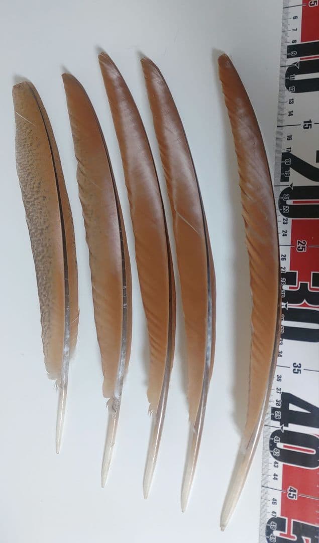 メル94348様 リクエスト 2点 まとめ商品